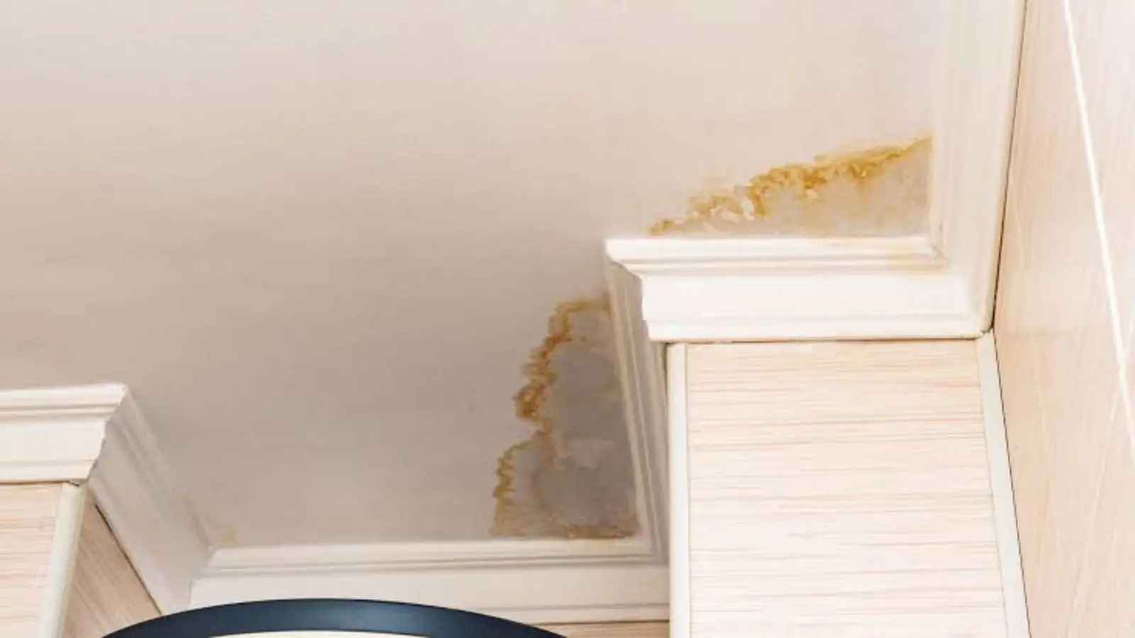 Brown water stain at the corner where a ceiling meets the wall