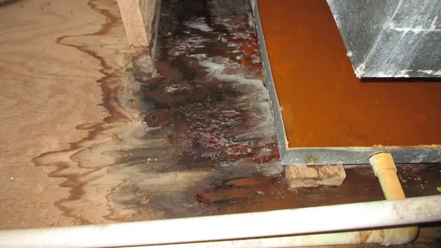 Lifted wood floor boards with dark water stains underneath