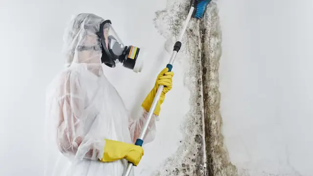 Technician in a respirator and protective suit working on a moldy wall