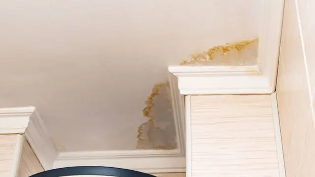 Brown water stain at the corner where a ceiling meets the wall